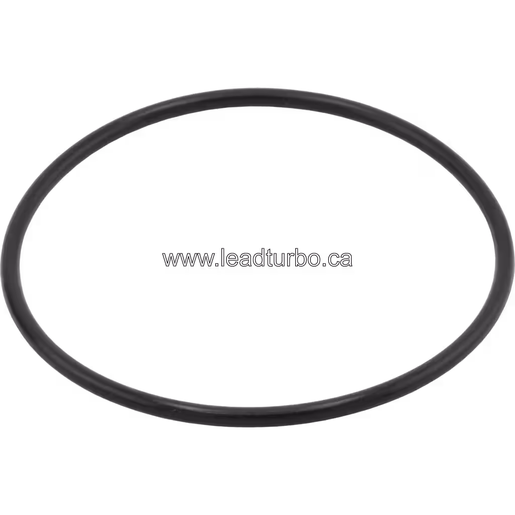 Detalle del O ring de reemplazo para turbo industrial