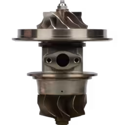 Core 712371-5039 GT5002BS para CAT 3406W | Reposição