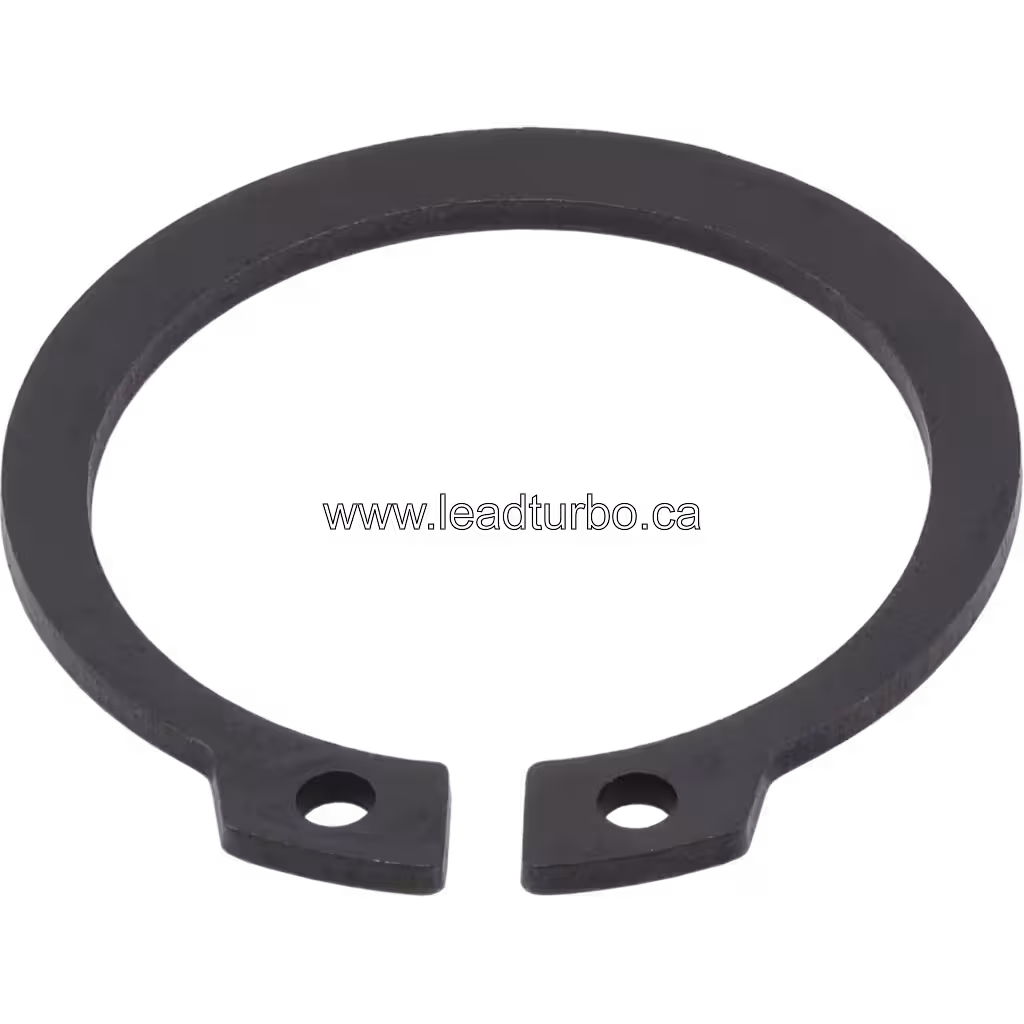 Retaining ring 3723863 com dois furos de montagem, vista replacement em 45 graus
