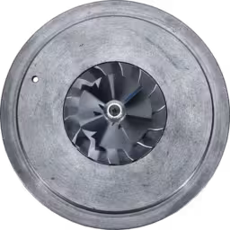 Core turbosprężarki 174201 S200G80H do CAT E325C i CAT 3126B