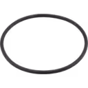 O-ring для турбокомпресора HX55 (IVECO CURSOR 10)