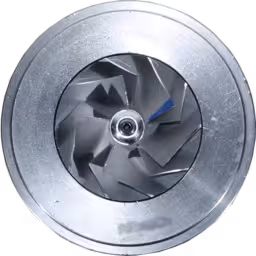 1000-010-318 Core турбокомпресора T250-04 для Land Rover 300TDI