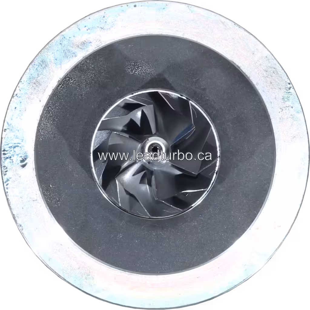Emballage cœur de turbo FOR 454061-5010