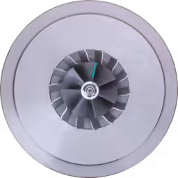 Core de Turbocompresseur B2G003 2500841 pour CAT C7 / 962H