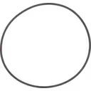 O-Ring 3534405 Detailansicht