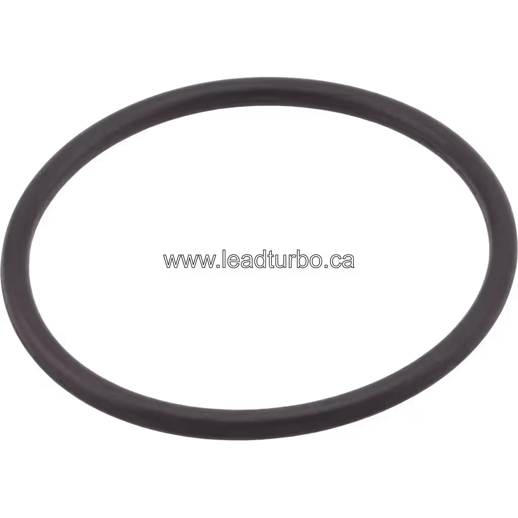 Vue de dessus du joint torique 07000-E2050, référence OEM 6505-71-0480