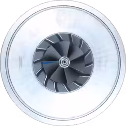 Core 53297100020 K29-3571QOAKA 17 20 para MAN TGA D2866LF25 310HP