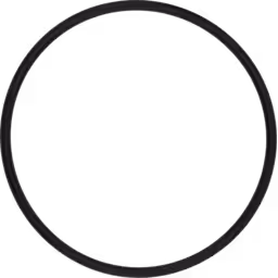 BJMXRK0002559 O-ring Replacement for S510C004 Turbocharger