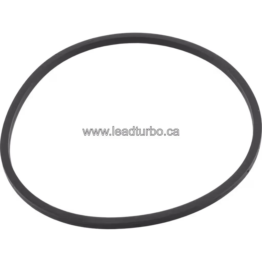 Repuesto O ring turbo 3502449-UFIT